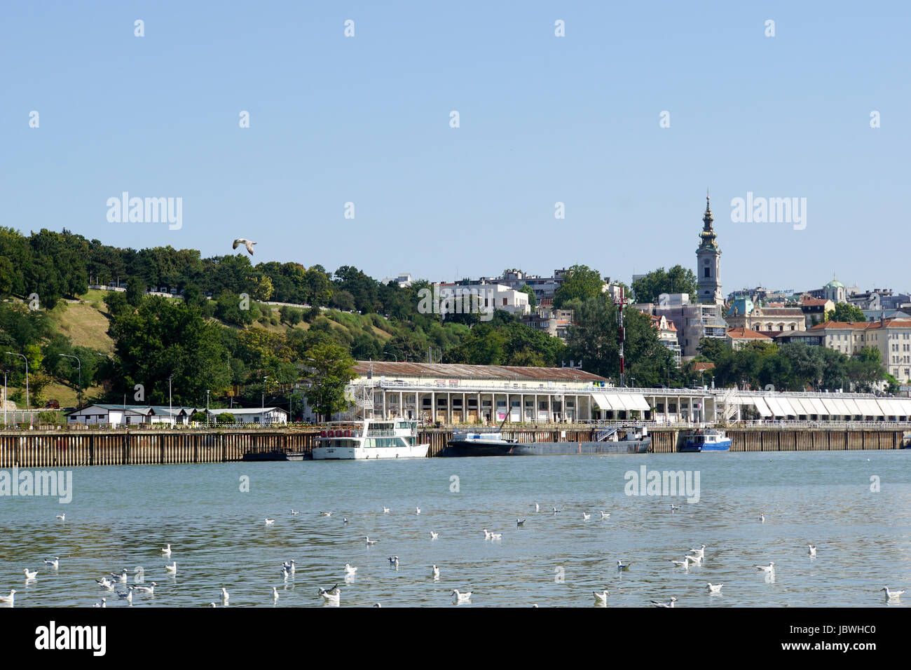 Serbien, Belgrad die Donau Stockfoto