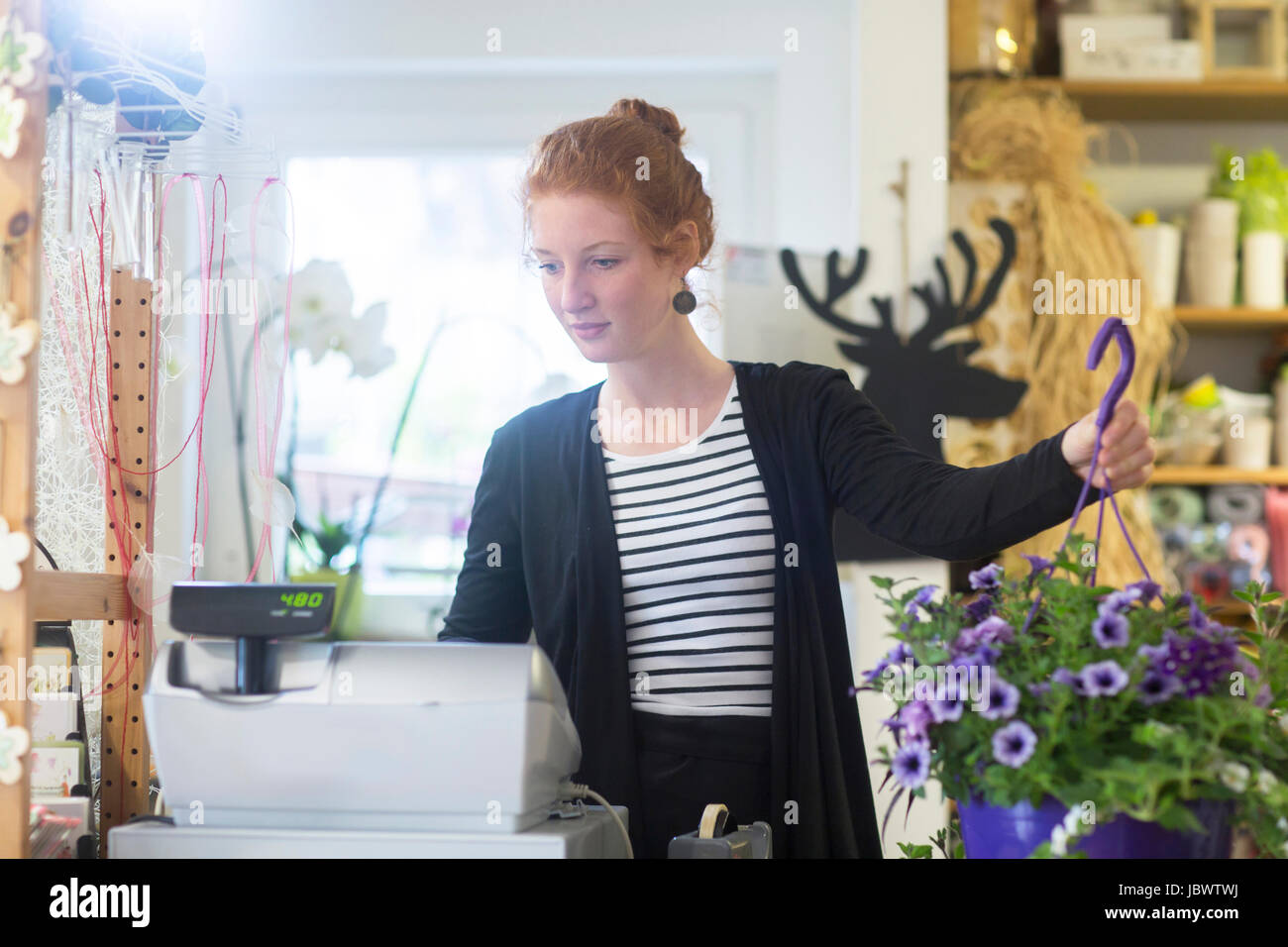 Floristen arbeiten im shop Stockfoto