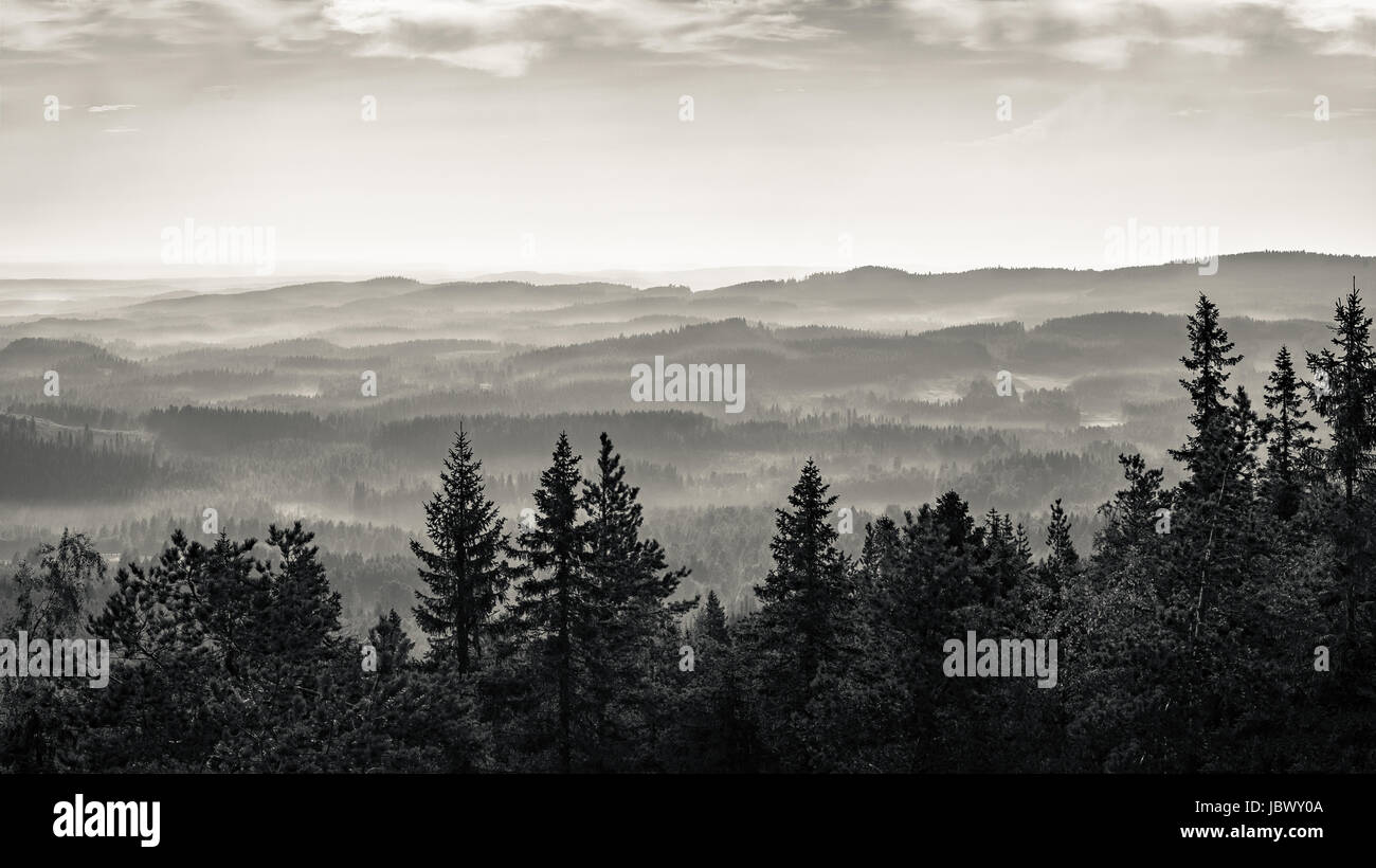 Malerische Landschaft zur Tageszeit in Koli, Nationalpark. Schwarz-weiß-Stil. Stockfoto