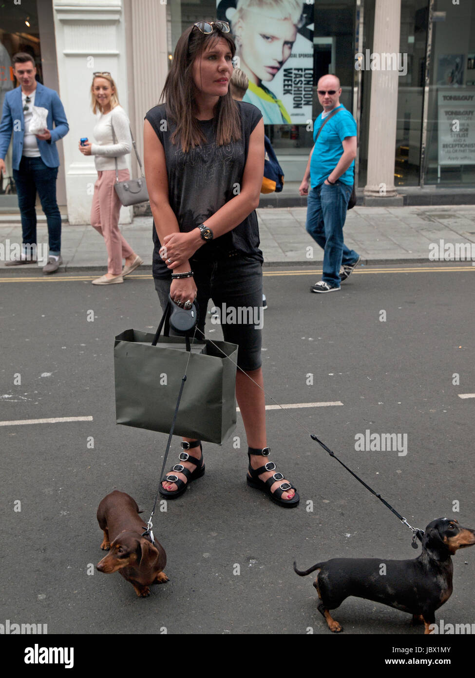 Eine Frau und ihren Hunden in einer Brighton Straße Stockfoto