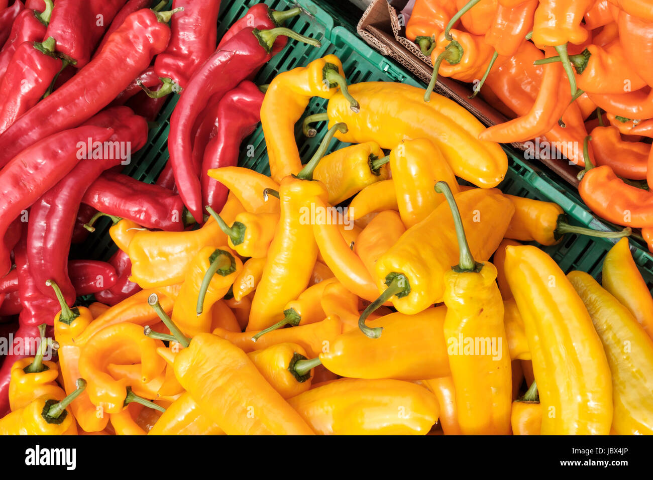 Rot, Gelb und Orange süß Romano Paprika Stockfoto