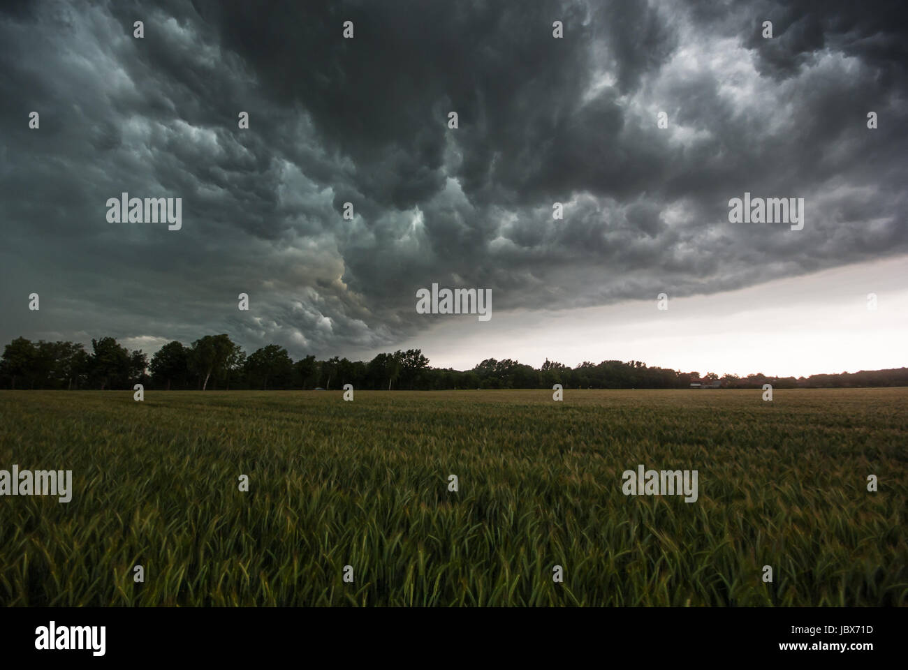 Das Bild weitergeleitet Ein Aufziehendes Gewitter Über Einem Feld. Stockfoto