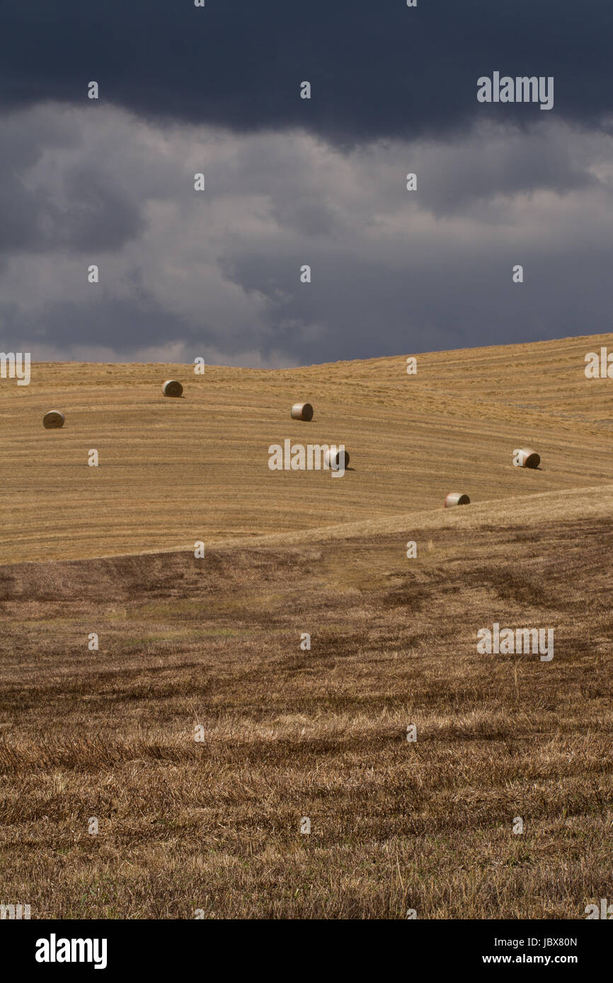 Sechs Ballen - A verträumte Landschaft blau, Wolke gefüllt Himmel und Rollen, sonnendurchfluteten Gerstenfeldern. Sechs Ballen Stroh lag oben auf den frisch geschnittenen fields.nature Stockfoto