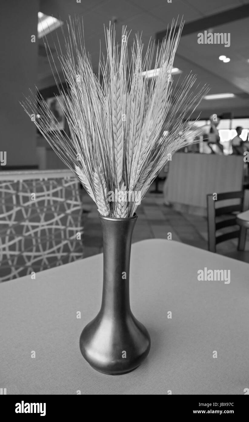 Weizen in einer Vase Dekorationen in einem Fast-Food-Restaurant... Stockfoto