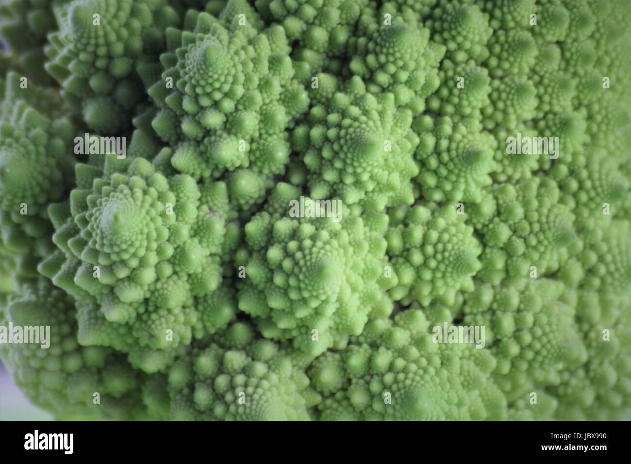 Ein Bild von einem Gemüse - romanesco Stockfoto