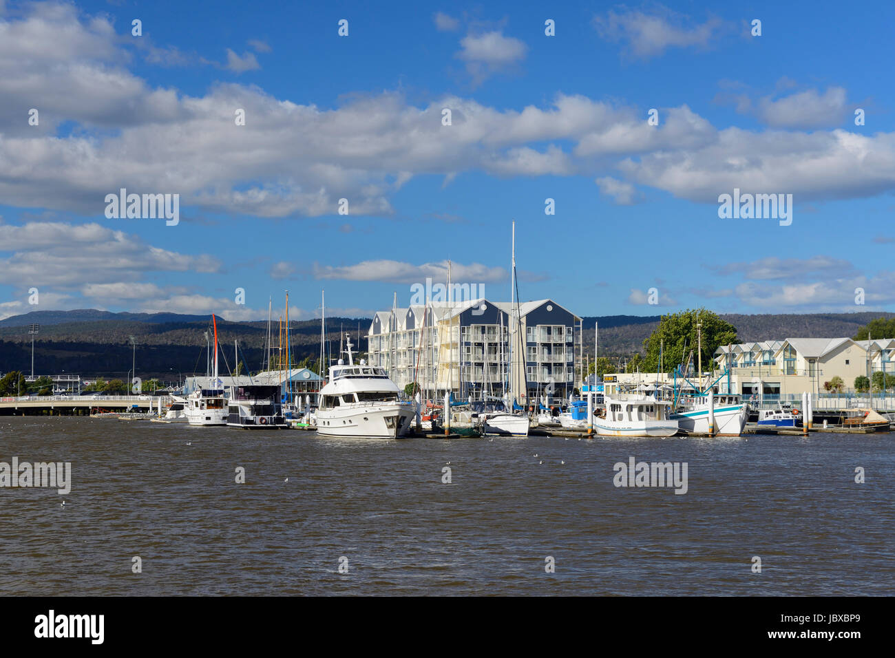 Yachten und Boote vertäut im Hafen Marina auf der North Esk River in Launceston in Tasmanien, Australien Stockfoto