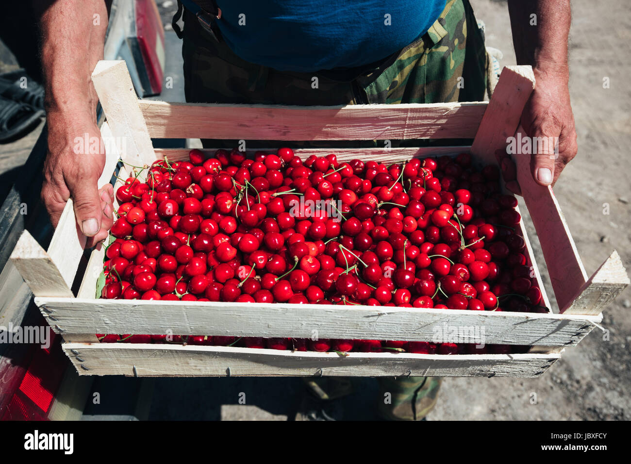 Kirsche in Holzkiste, Nahaufnahme Foto Stockfoto