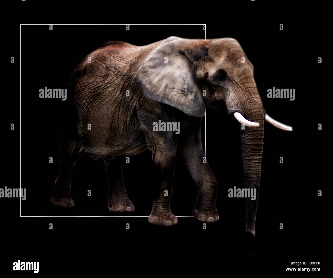 Rahmen Afrika Stockfoto