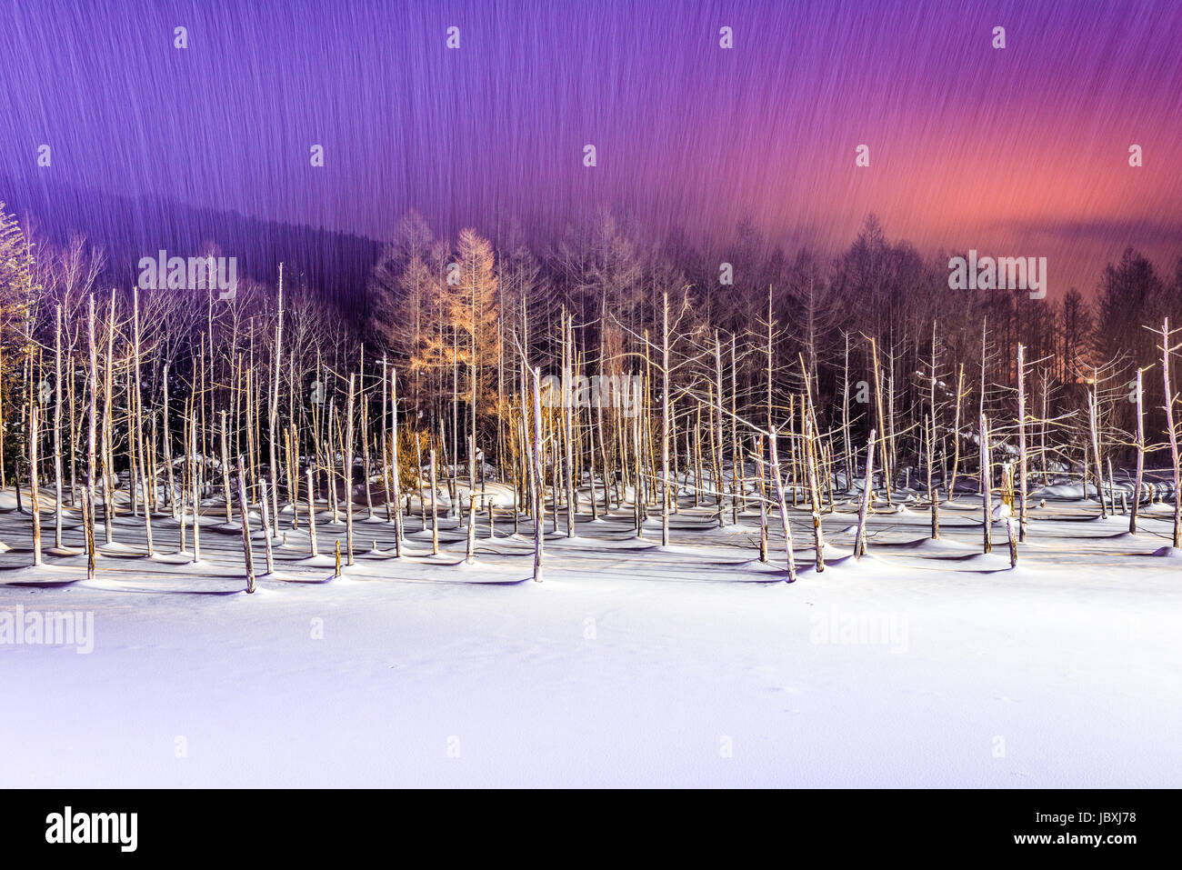 Biei, Japan am Aoike blauen Teich im Winter. Stockfoto