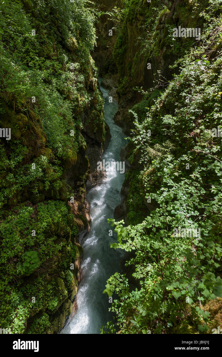 Marxenklamm im Zauberwald, Ramsau, Berchtesgadener Land, Oberbayern, Deutschland Stockfoto