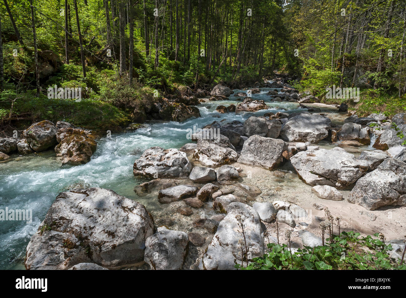 Ramsauer Ache im Zauberwald, Ramsau, Berchtesgadener Land, Oberbayern, Deutschland Stockfoto