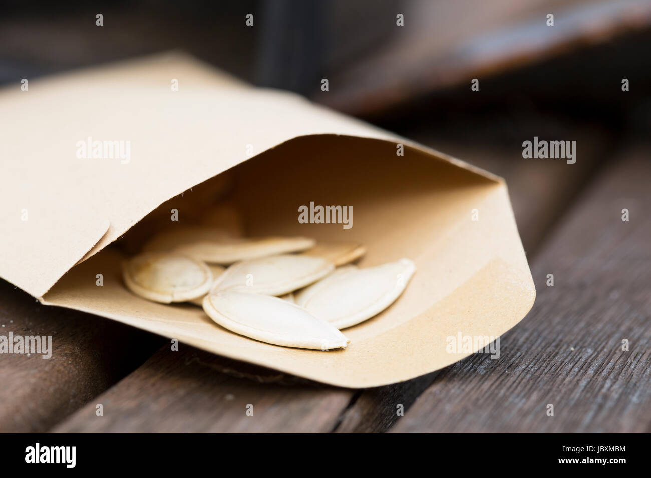 Kürbis-Samen in Saatgut-Päckchen für Pflanzen im Garten. Stockfoto