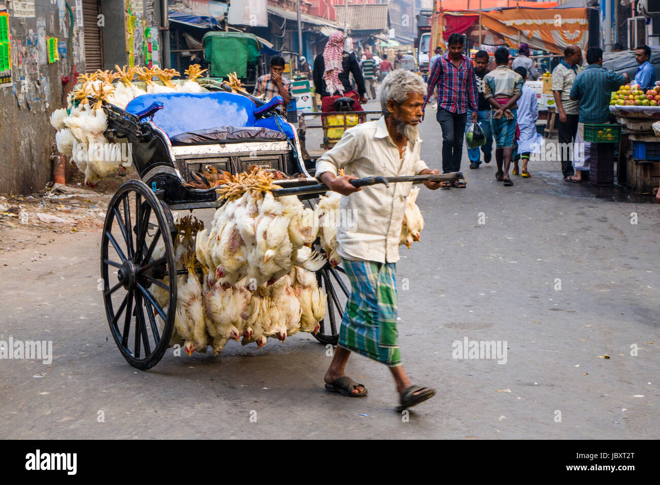 Huhn sind miteinander verbunden und durch Ziehen der Rikscha in der Vorstadt neuer Markt transportiert Stockfoto