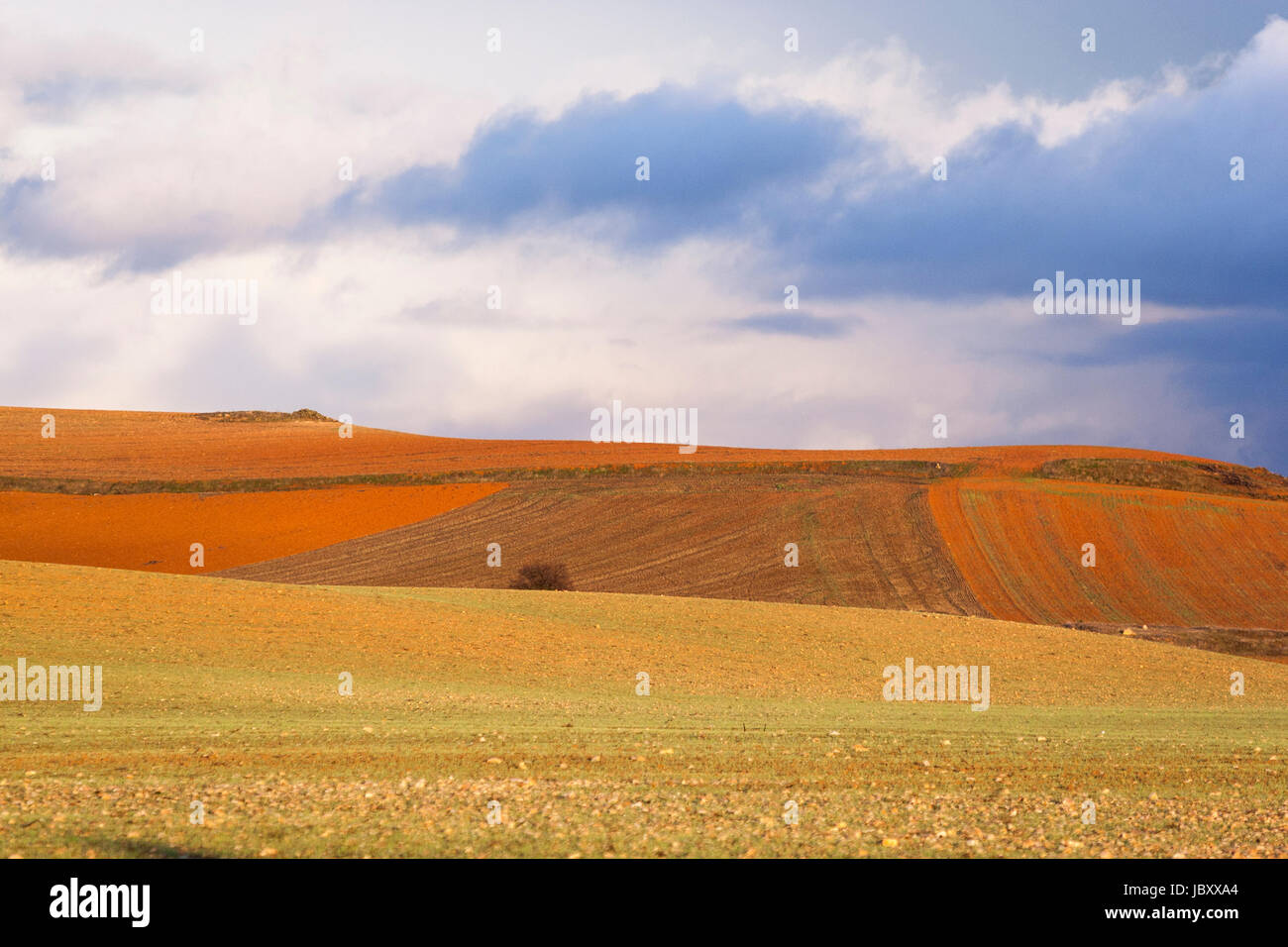 Rote Erde der kastilischen geernteten Felder bei Sonnenuntergang in der Nähe von Honrubia, Cuenca Provinz Kastilien-La Mancha, Spanien Stockfoto