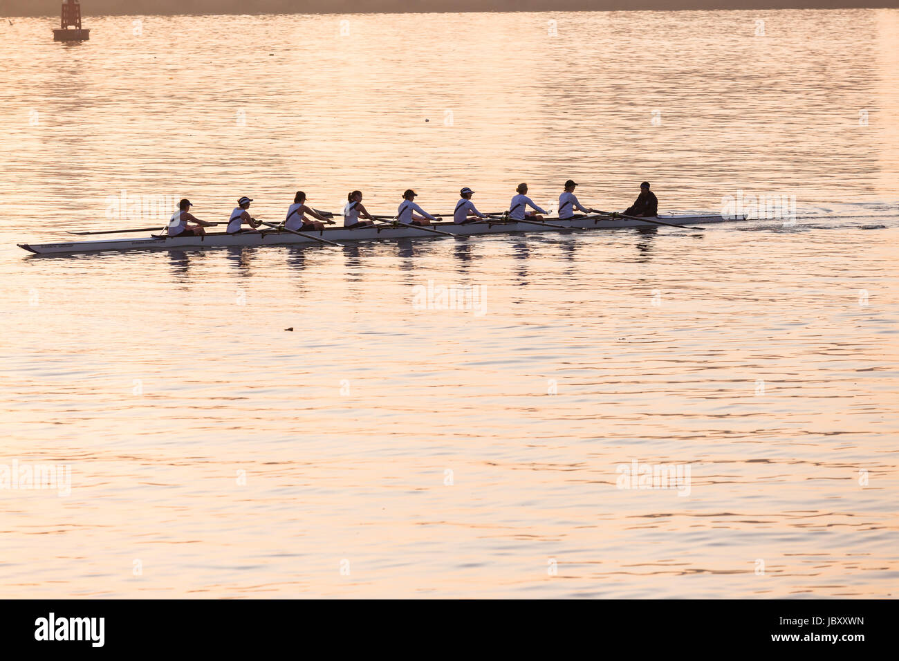 Durban-Rowiing Club-Kopf der Bucht Regatta 12. Juli 2014 Stockfoto