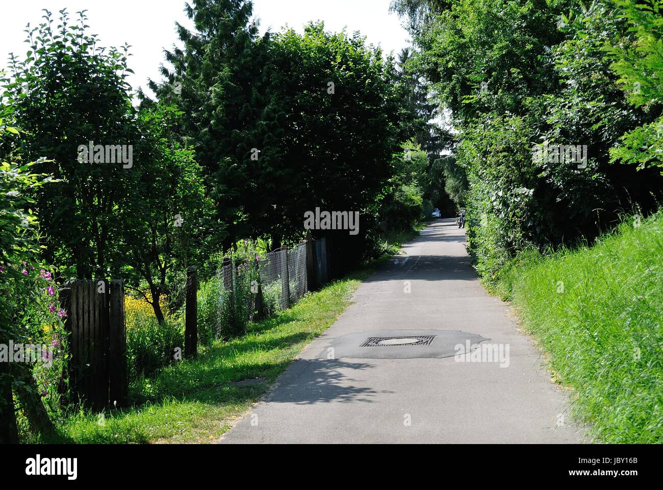 Pflanzen Stadt Stockfoto