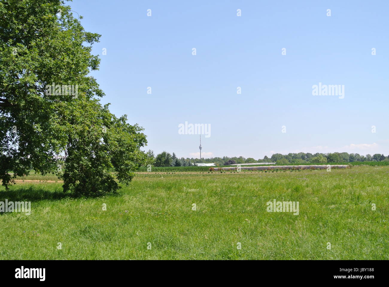 Landschaft Stockfoto