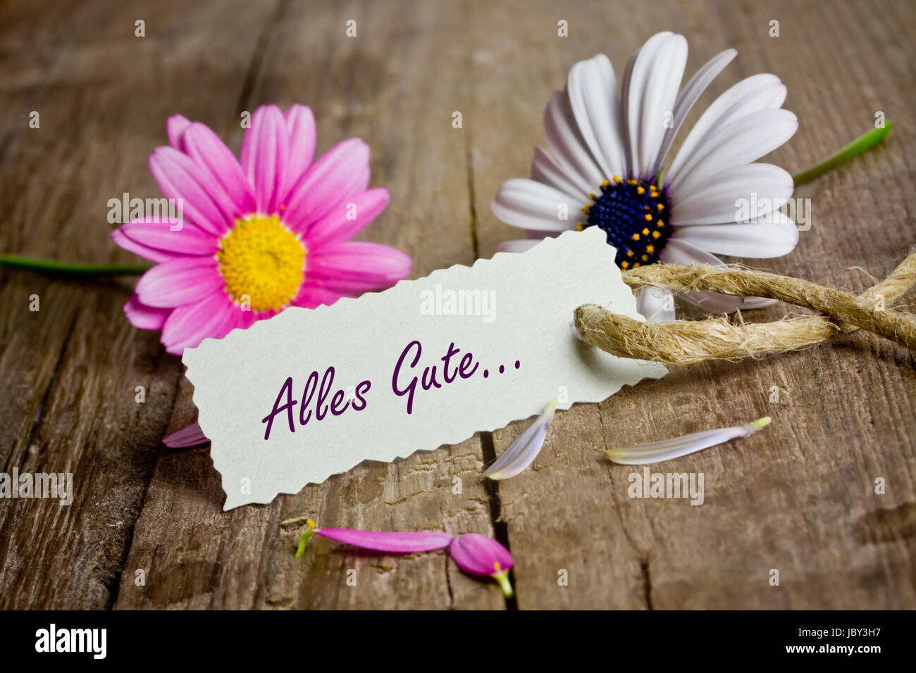 Gutschein mit rosa Blumen Stockfoto