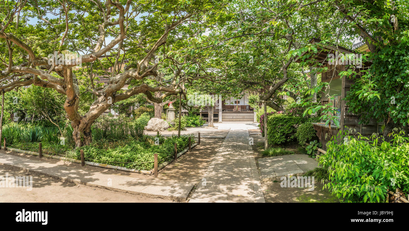 GokurakujiTempel, ein buddhistischer Tempel der ShingonSekte in Kamakura, KanagawaPräfektur