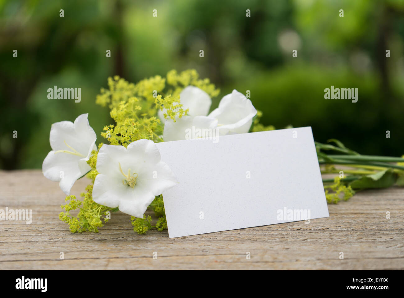 Weißen Glockenblumen, Frauenmantel und Karte Stockfoto