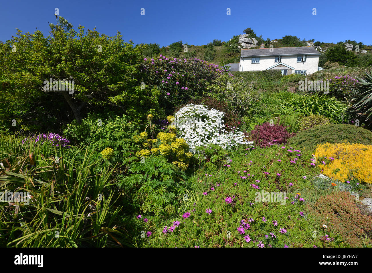 Üppige Vegetation in Bryher, Scilly Islea. Stockfoto