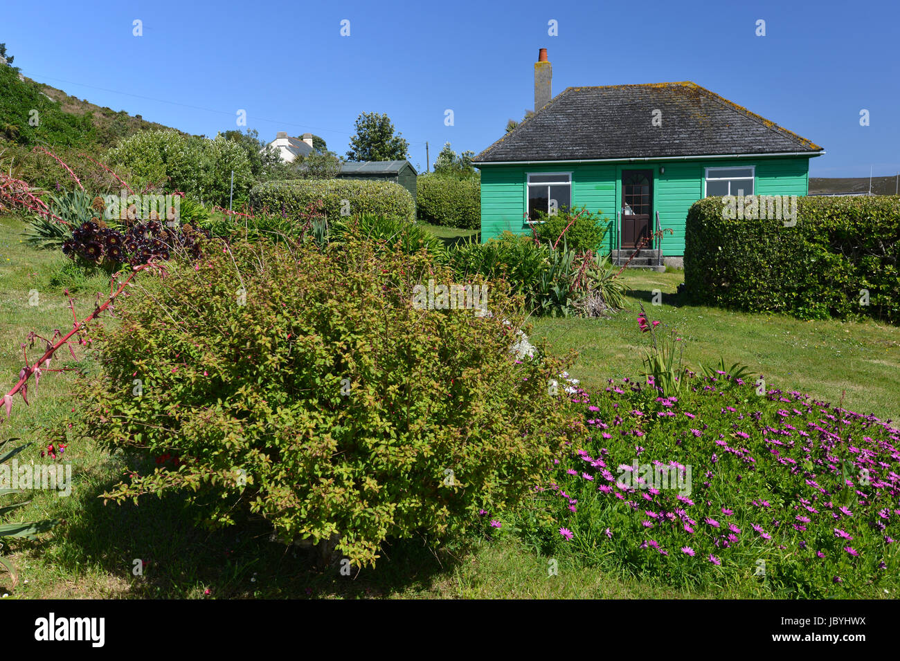Üppige Vegetation in Bryher, Scilly Islea. Stockfoto