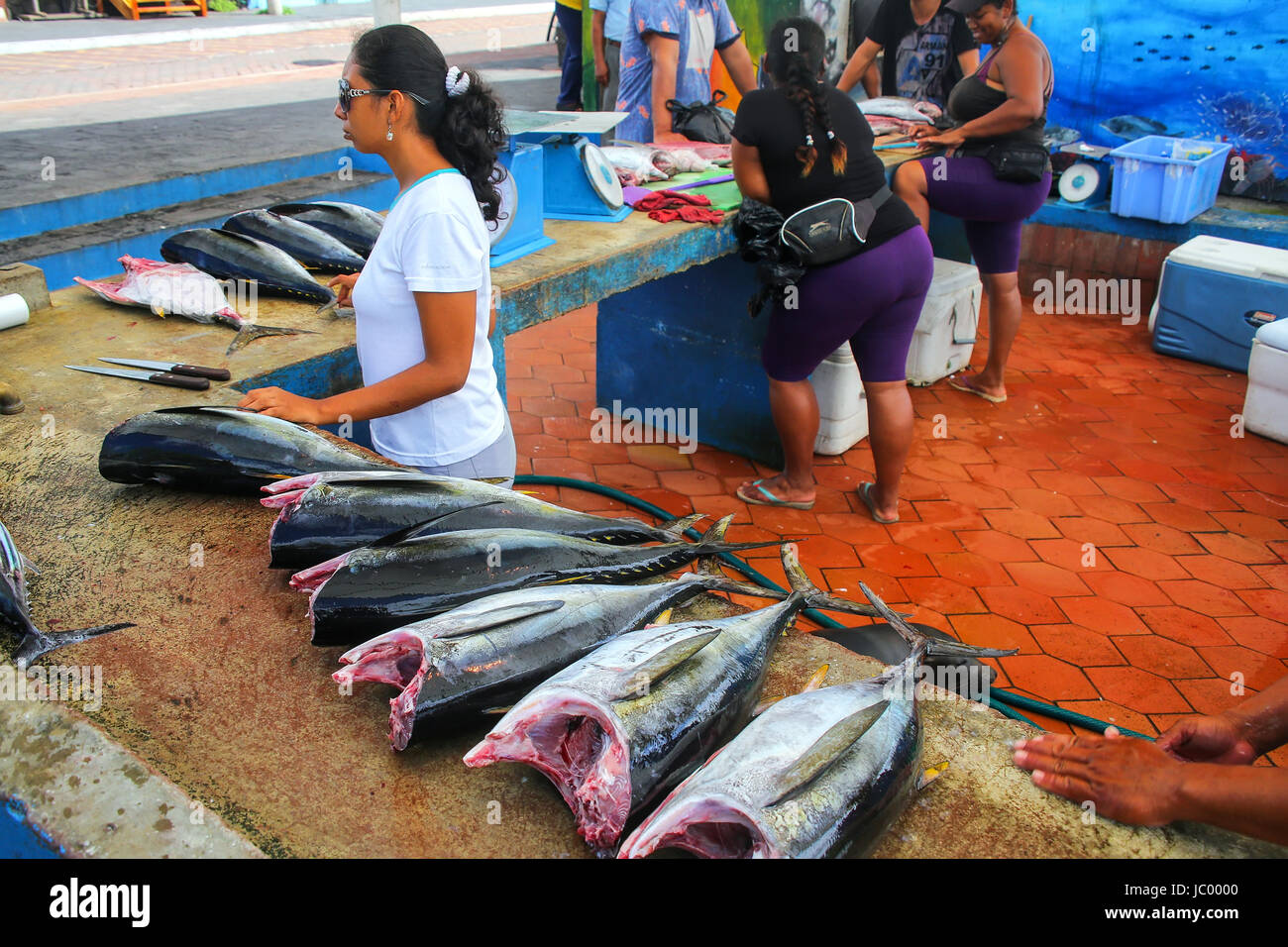 Lokale Frau verkaufen Fisch auf dem Markt in Puerto Ayora auf Santa Cruz Island, Galapagos Nationalpark in Ecuador. Puerto Ayora ist die bevölkerungsreichste Stadt Stockfoto