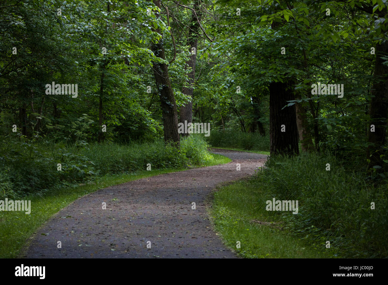 Fotos von der Feuchtgebiete zu erhalten - olentangy Trail - Columbus, OH, USA Stockfoto