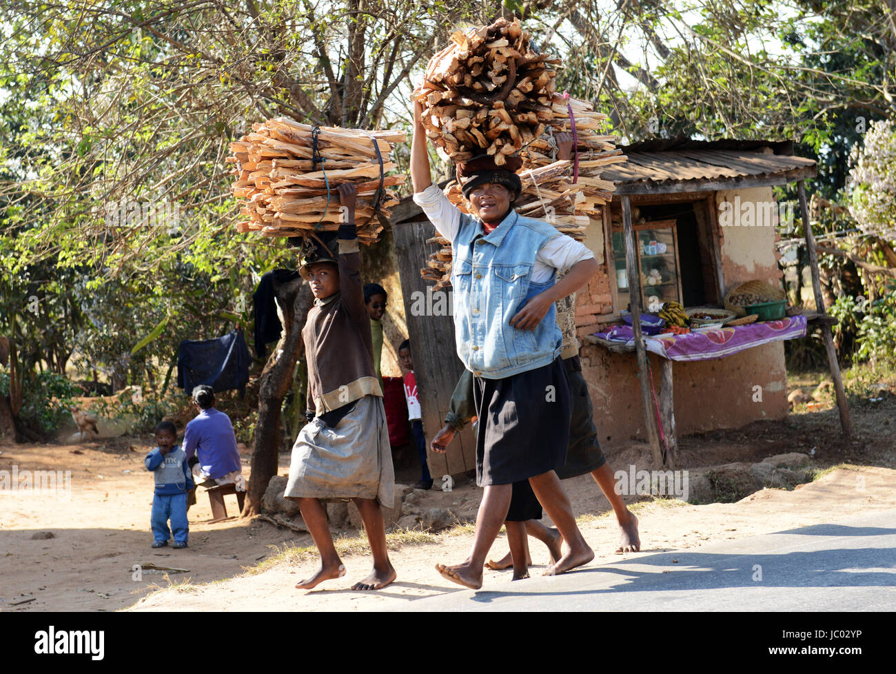 Madagassische Frauen, die Holz aus dem Wald. Stockfoto