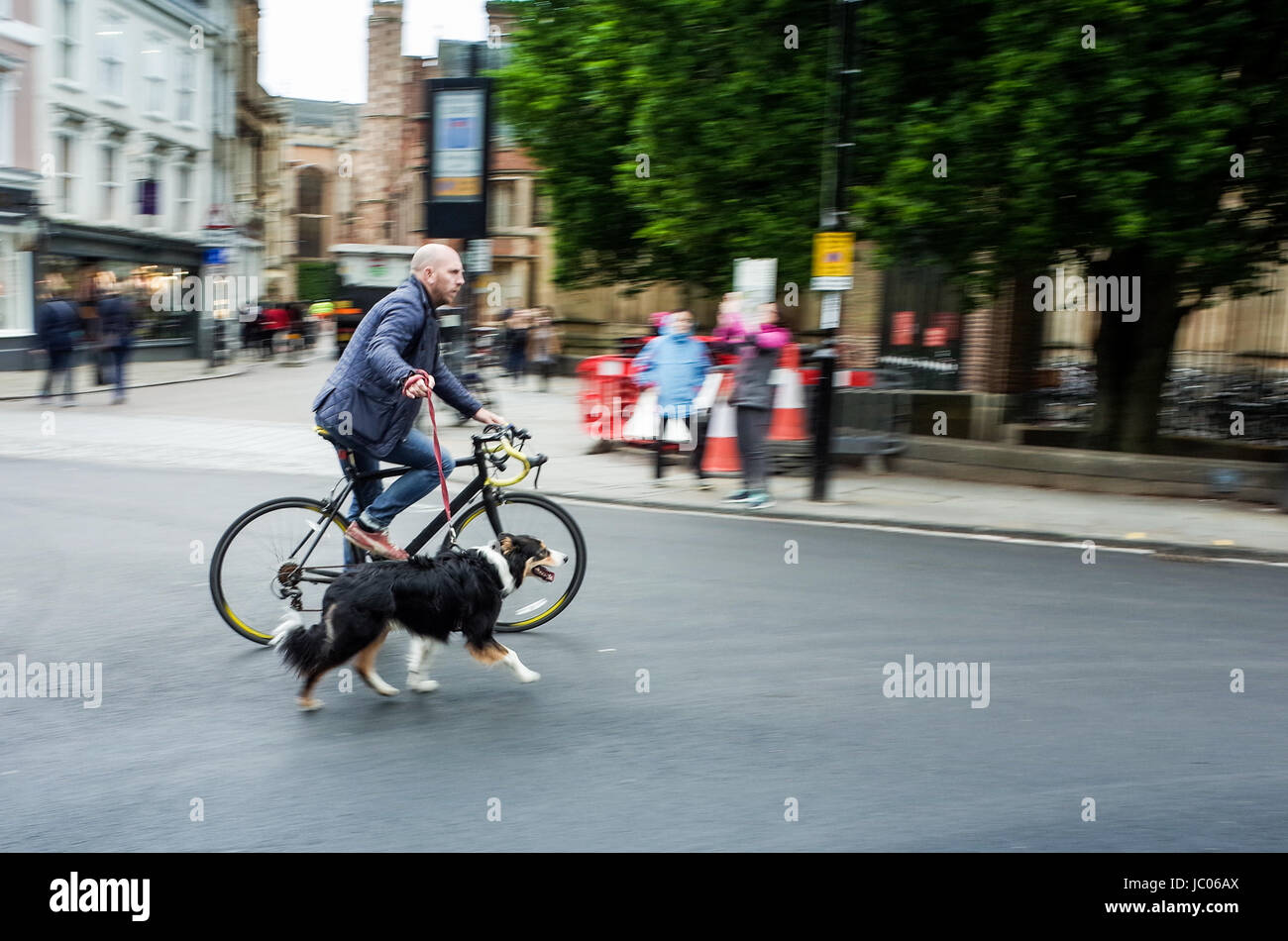 Ein Radfahrer geht seinen Hund durch das historische Zentrum von Cambridge UK Stockfoto