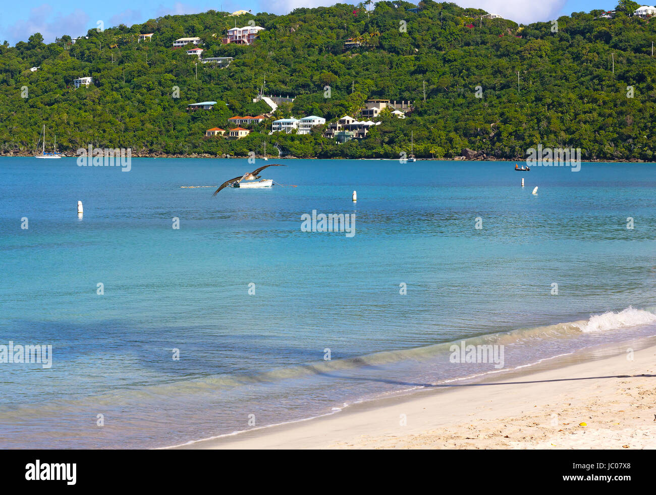 Ruhiges Meeresoberfläche mit fliegenden Pelikan am Strand Magens Bay in St. Thomas Insel, uns VI. Palm-Schatten auf das Wasser des karibischen Meeres und Angelboote/Fischerboote in t Stockfoto