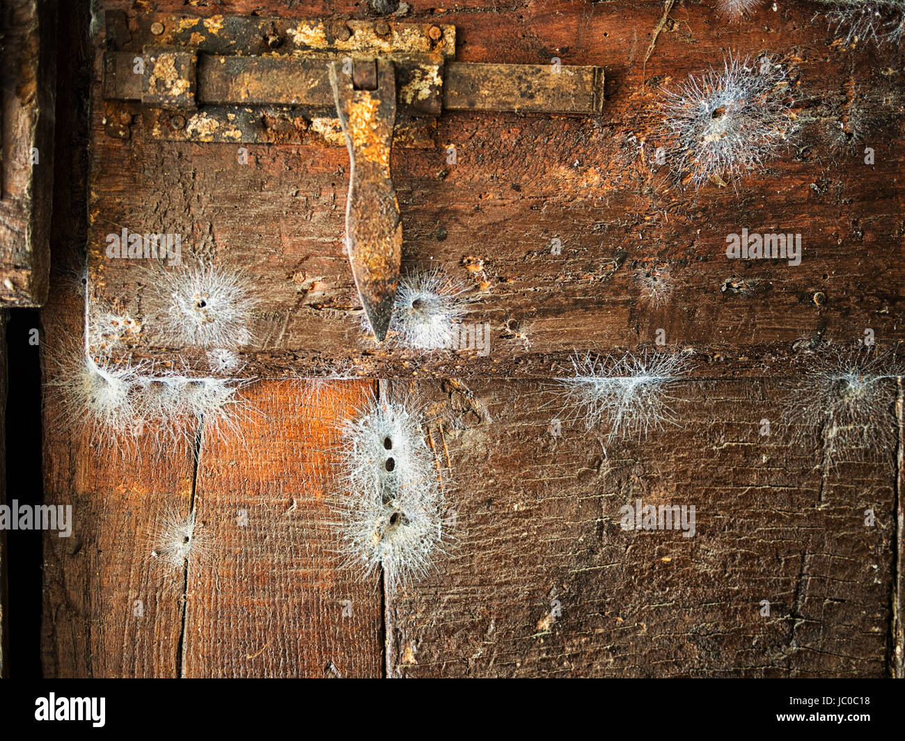 Rostige Schloss mit vielen funnel Web Spinnweben. Stockfoto