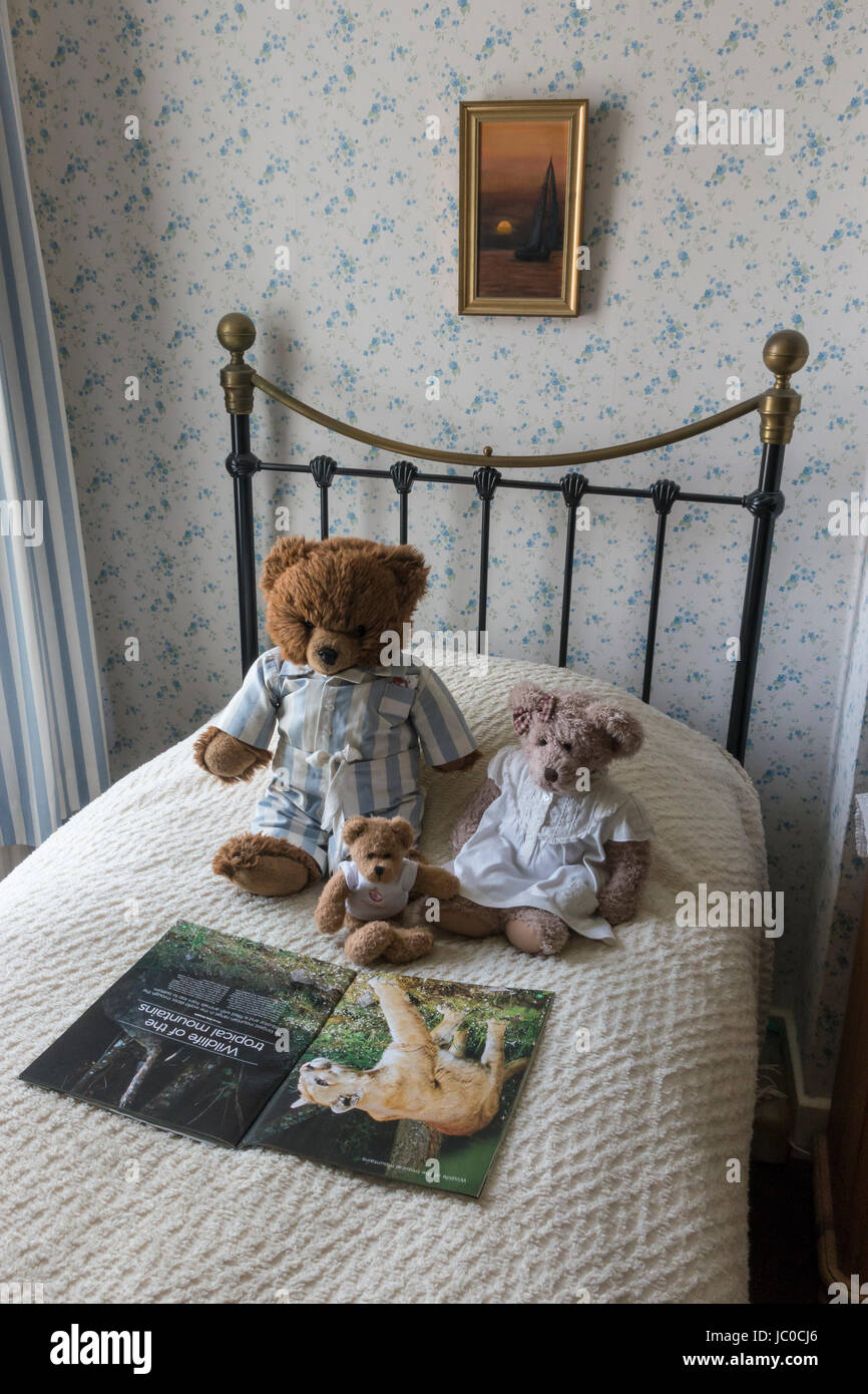 Teddybären, die Tierwelt Magazin auf Bett lesen Stockfoto