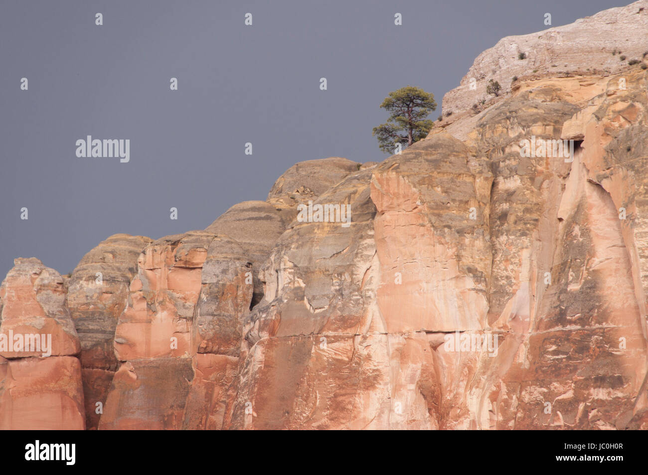 Küche-Mesa in am Nachmittag Licht, Carson National Forest, Rio Arriba County, New Mexico, USA Stockfoto