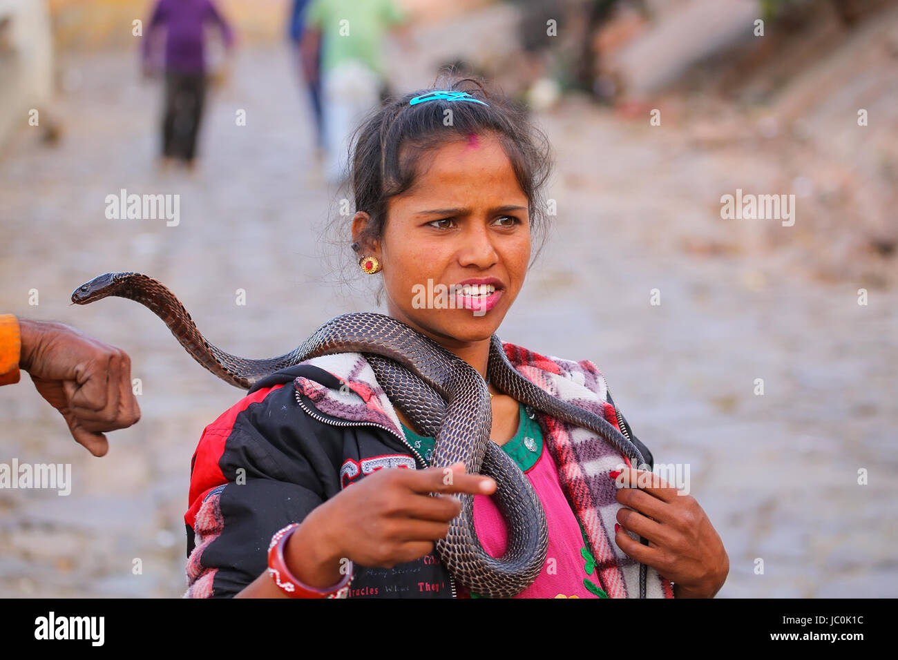 Einheimische Frau Holding indische Cobra in der Straße von Jaipur, Indien. Jaipur ist die Hauptstadt und größte Stadt im indischen Bundesstaat Rajasthan. Stockfoto