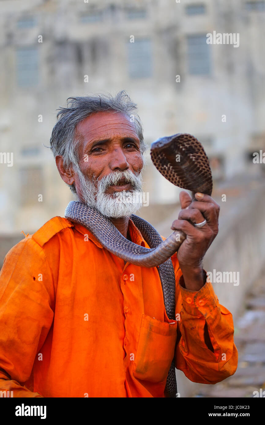 Lokalen Schlangenbeschwörer halten indische Cobra in der Straße von Jaipur, Indien. Jaipur ist die Hauptstadt und größte Stadt im indischen Bundesstaat Rajasthan. Stockfoto
