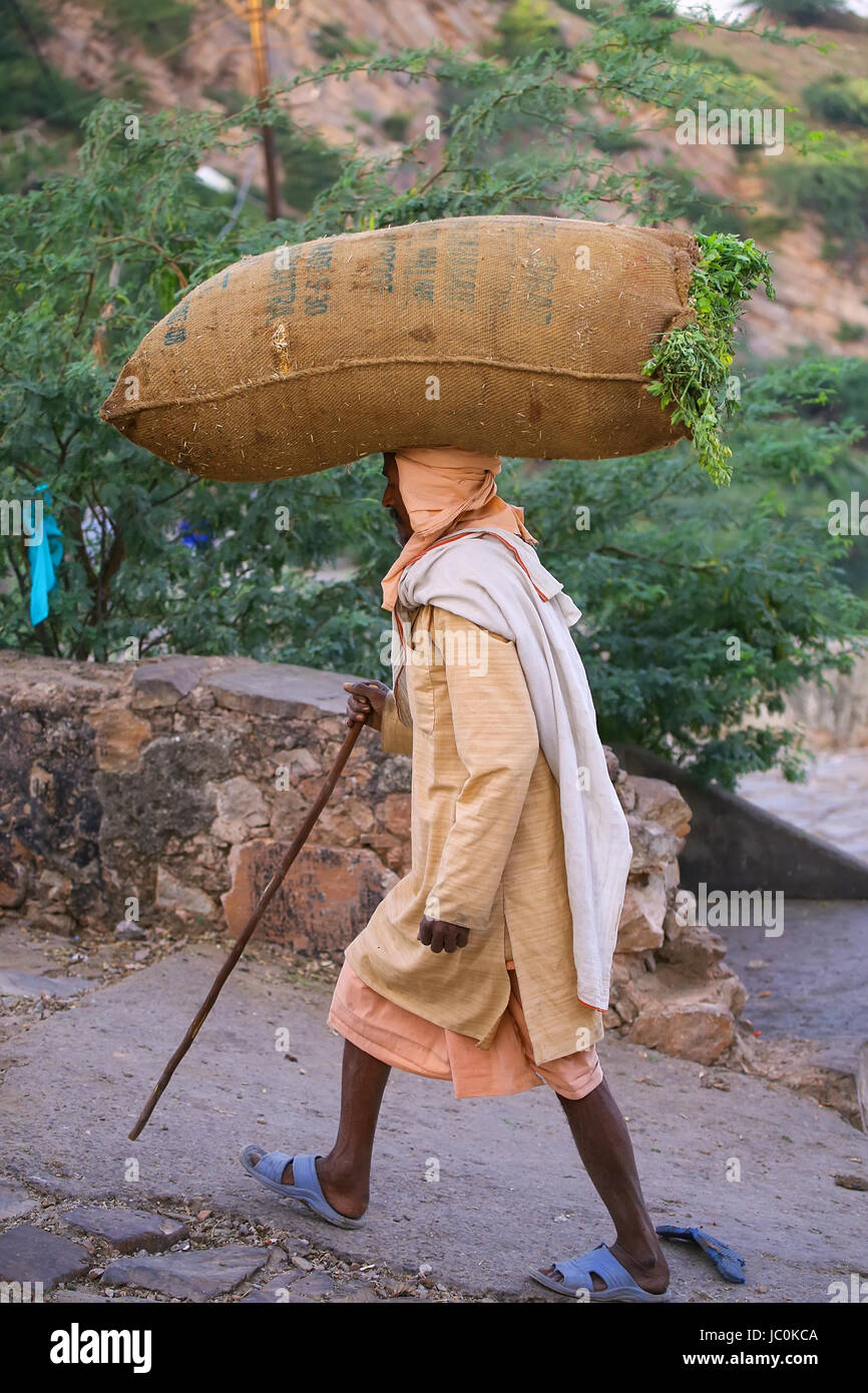 Lokale Mann Tragetasche mit Rasen auf dem Kopf in der Nähe von Galta Tempel in Jaipur, Indien. Jaipur ist die Hauptstadt und größte Stadt im indischen Bundesstaat Rajast Stockfoto