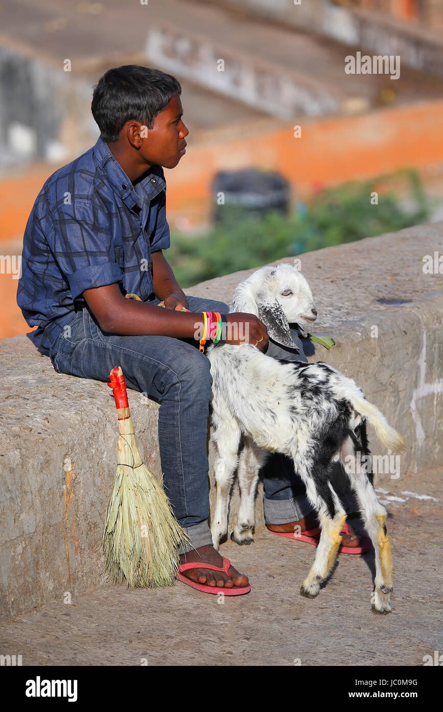 Lokalmatador sitzt auf einer Steinmauer mit einer Ziege, Jaipur, Indien. Jaipur ist die Hauptstadt und größte Stadt im indischen Bundesstaat Rajasthan. Stockfoto