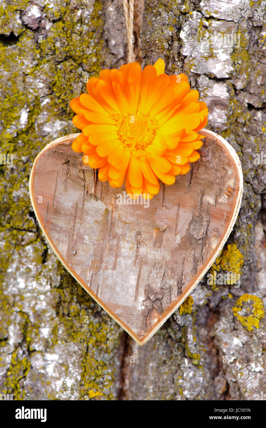 Herz aus Holz Hängt Mit Blumenschmuck ein Einem Baumstamm als Symbol der Liebe Stockfoto