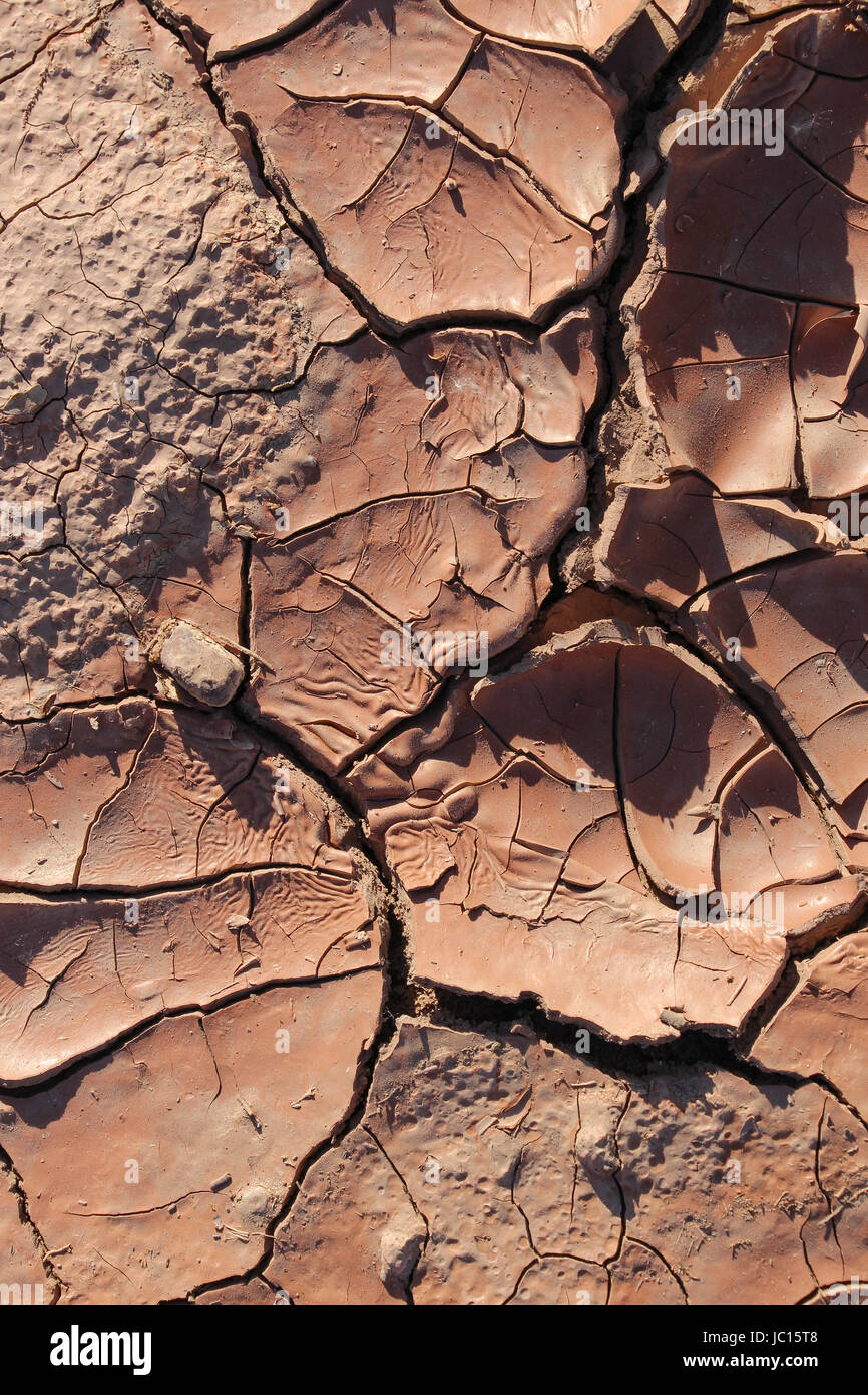 Schlamm getrocknet und geknackt in einer Senke in der Wüste. Stockfoto