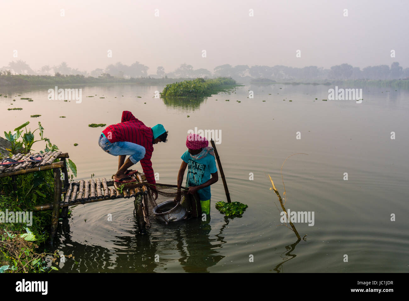 Die Fischer sind die Entleerung der Netze nach dem fangen Fische in der Fischzucht Seen in der ländlichen Umgebung von der Vorstadt New Town Stockfoto