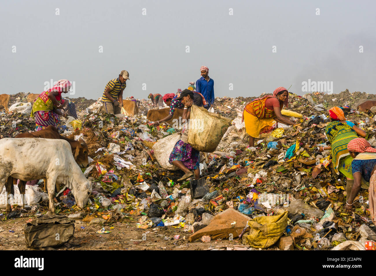 Arbeitnehmer sind das Sammeln von wiederverwertbaren Materialien auf staubigen dhapa Müllhalde Stockfoto