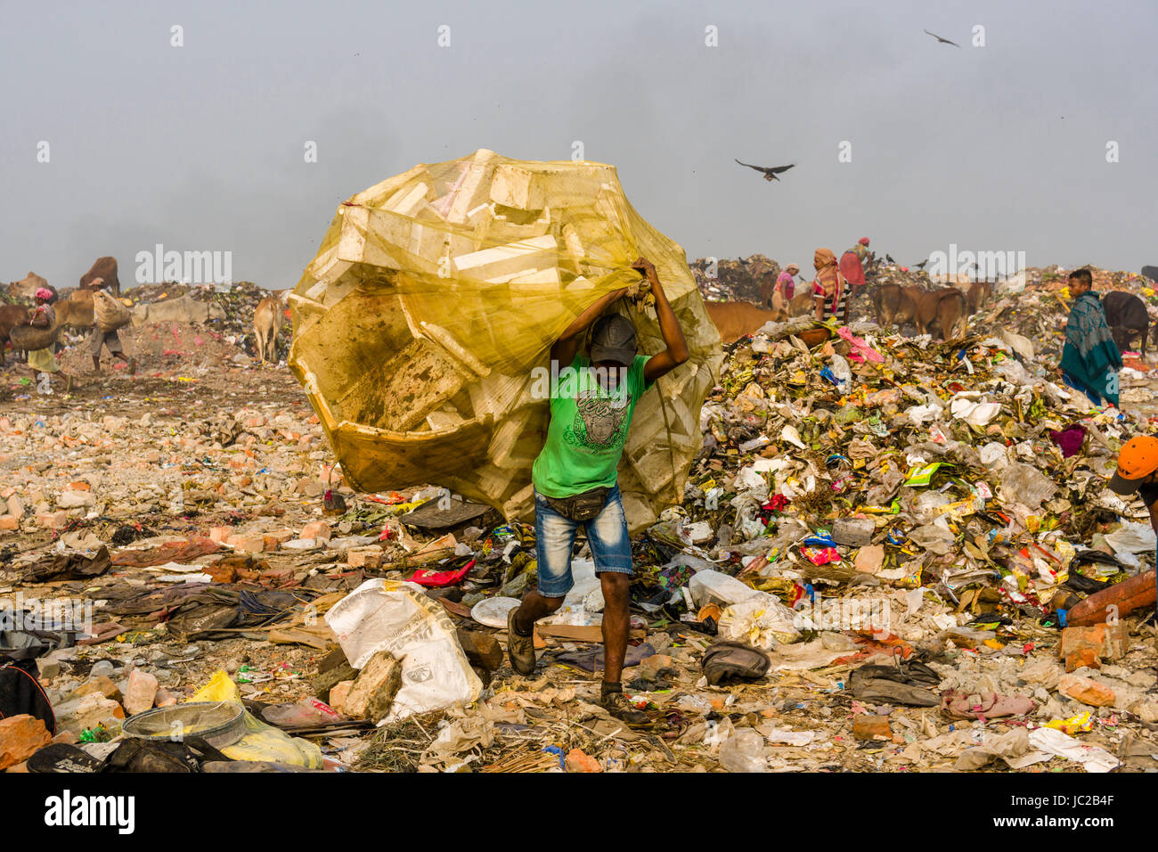 Arbeitnehmer sind das Sammeln von wiederverwertbaren Materialien auf staubigen dhapa Müllhalde Stockfoto