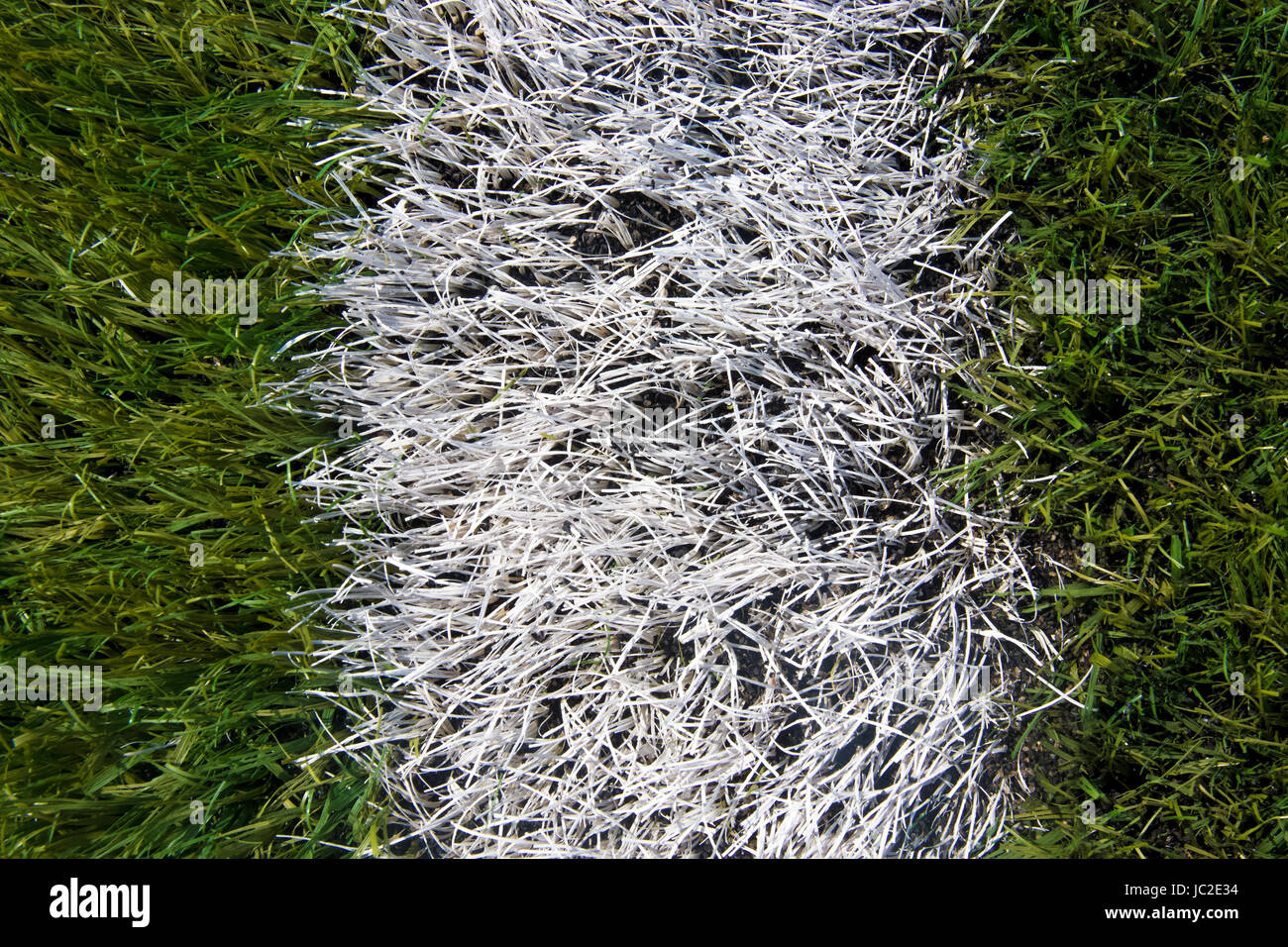 Closeup Textur des Kunstrasen-Feld mit weißer Markierung Streifen  Stockfotografie - Alamy