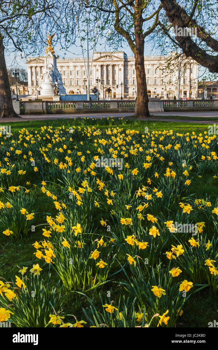 England, London, Green Park und Buckingham-Palast Stockfoto