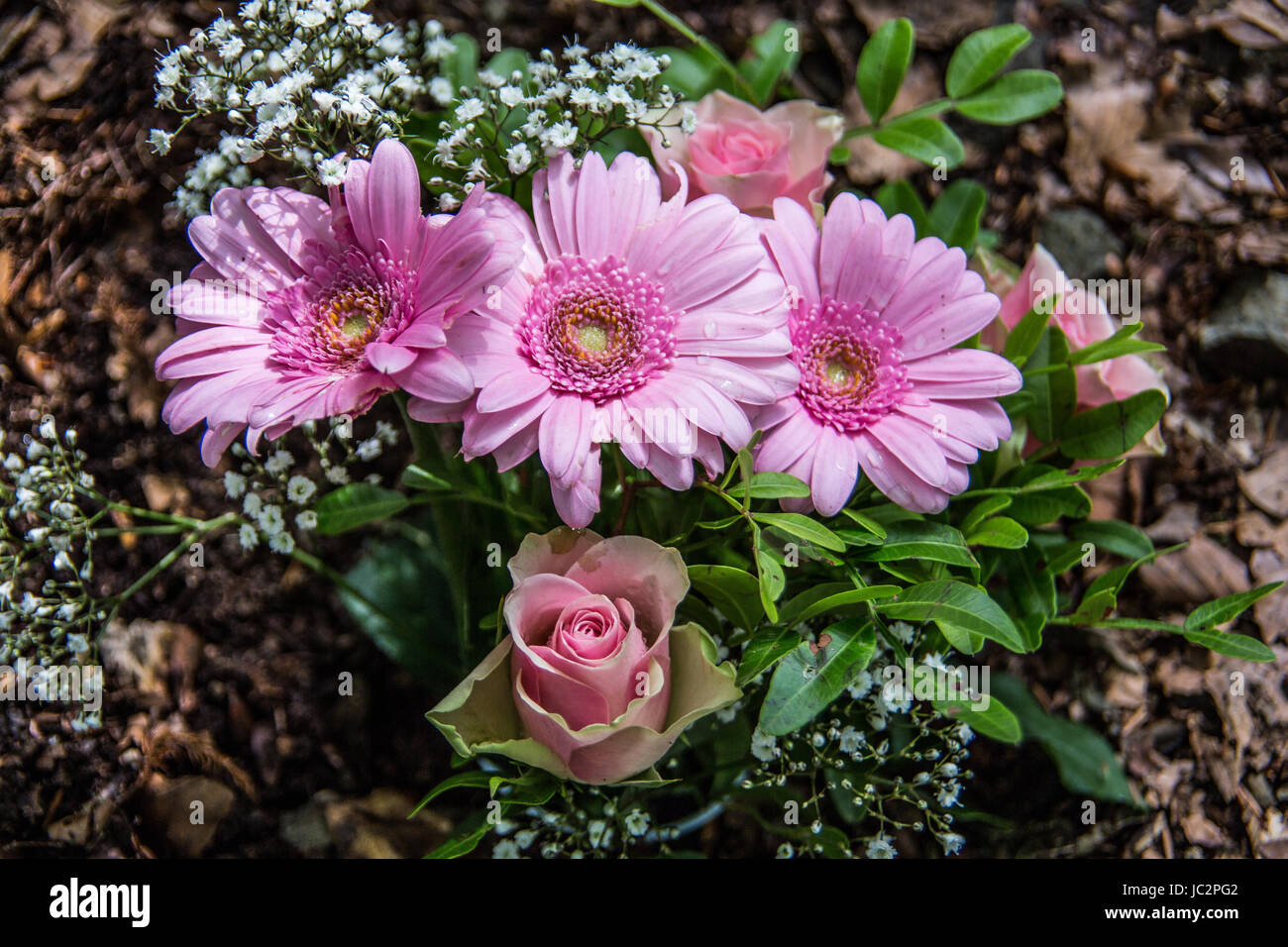 Friedhofsblumen Fotos und Bildmaterial in hoher Auflösung Alamy