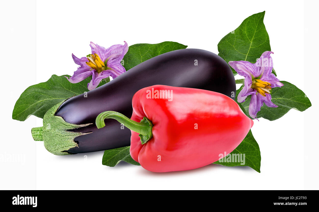 Frisches Gemüse Auberginen und Paprika isoliert auf weißem Hintergrund. Stockfoto
