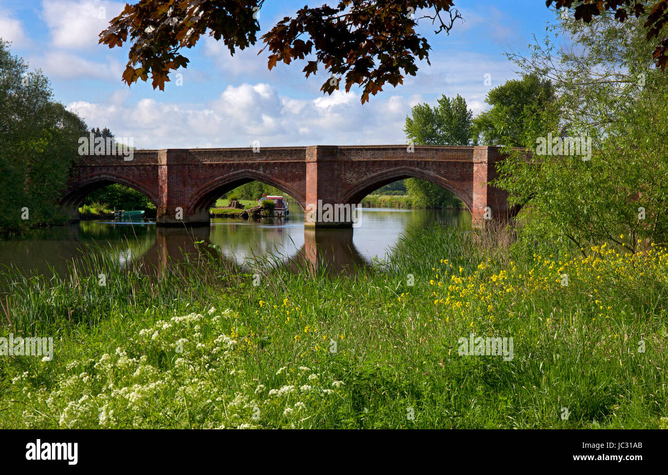 Brücke und Fluss Themse bei Clifton Hamden, Oxfordshire, England Stockfoto