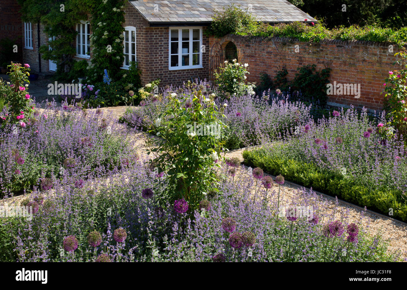 Kiesweg mit Schüler/inen von Sommerblumen im englischen Garten Stockfoto