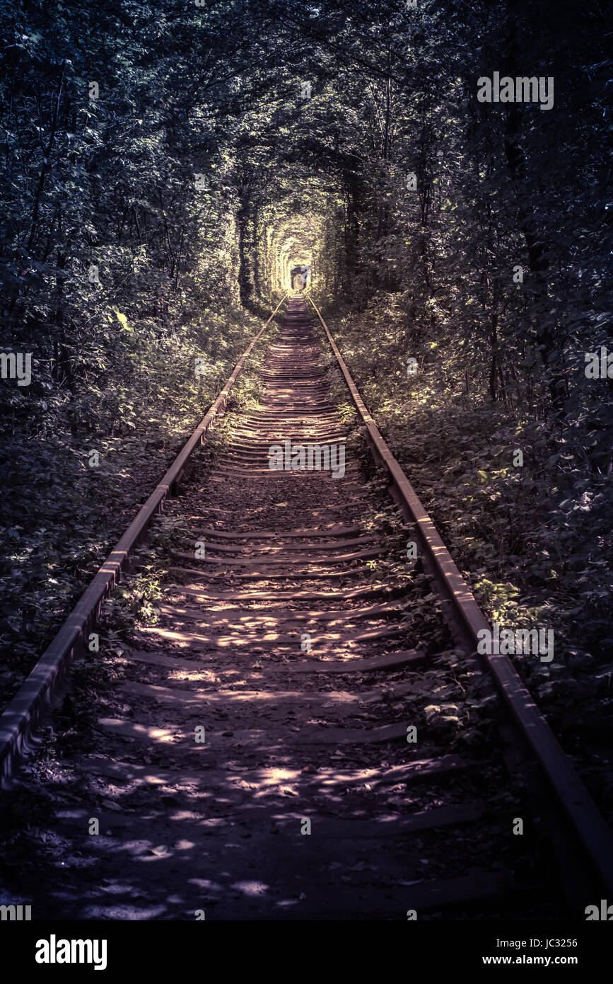 alte Wald und Eisenbahn Tunel der Liebe Stockfoto